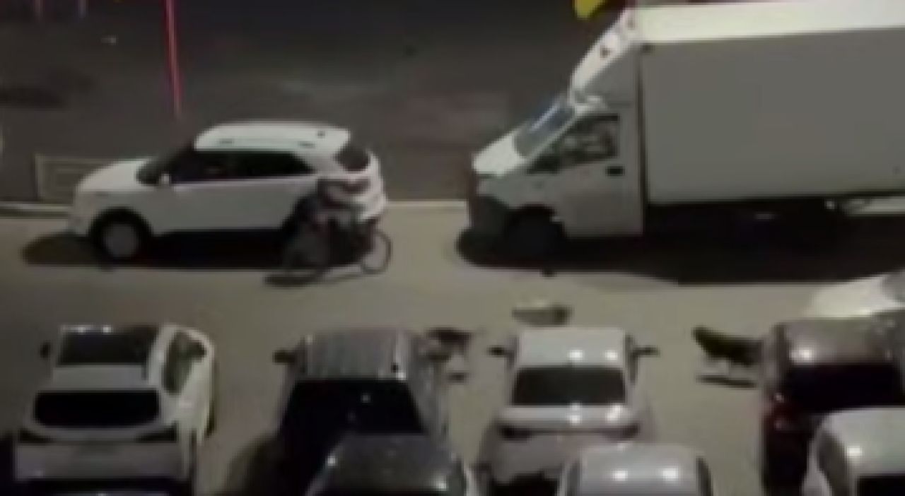 Бродячие псы гоняли маленького мальчика по воронежскому двору&nbsp;
