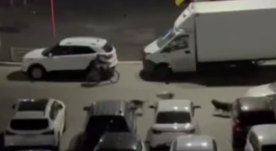 Бродячие псы гоняли маленького мальчика по воронежскому двору 