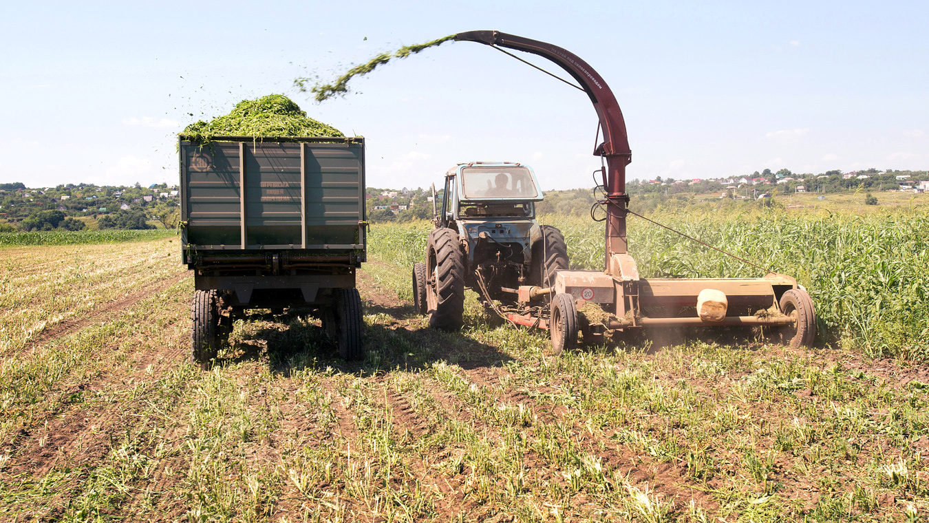 Как ситуация с урожаем повлияет на цены на продукты