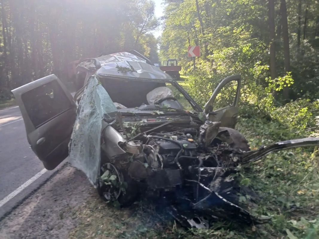 Выяснилось, кем могли быть погибшие в ДТП с вылетевшим авто в Воронежской области