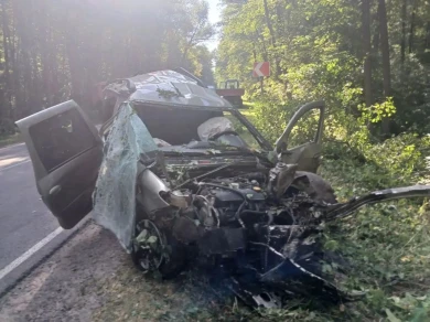 Выяснилось, кем могли быть погибшие в ДТП с вылетевшим авто в Воронежской области