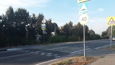 Пожилой водитель сбил 11-летнюю девочку на зебре в Белгородской области