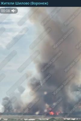 На видео попал жуткий пожар в районе СНТ в Воронеже