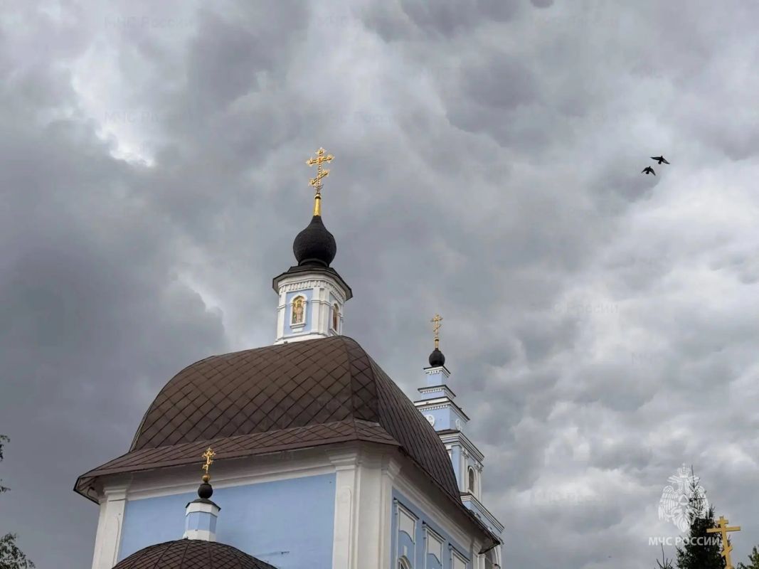 Дожди, грозы и ветер: прогноз погоды на выходные в Белгороде