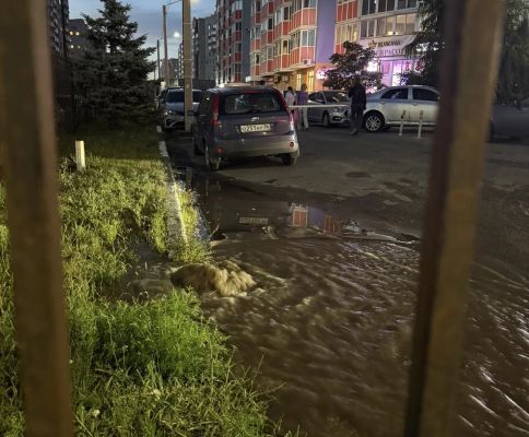 Ручей появился прямо у популярного ТРЦ в Воронеже