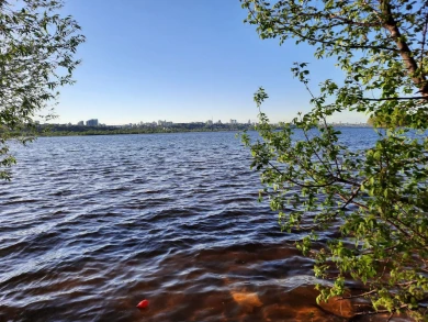 Необычный «улов» из водохранилища показали воронежцам