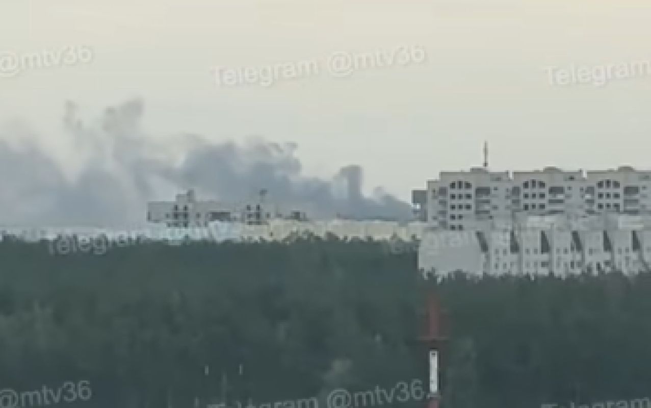 Густой дым на Левом берегу встревожил воронежцев (ВИДЕО)