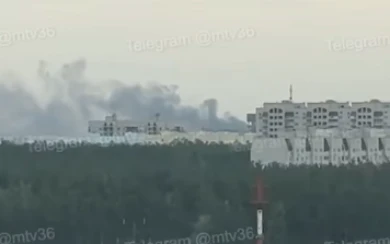 Густой дым на левом берегу встревожил воронежцев (ВИДЕО)