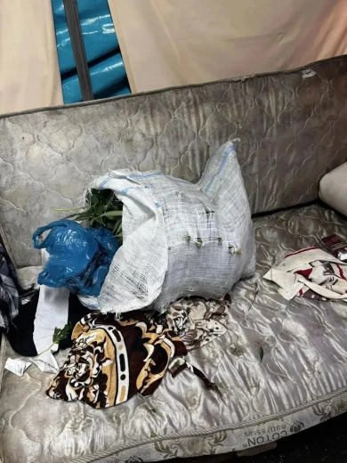 Мужчина нашёл марихуану на улице и попал под дело в Воронежской области
