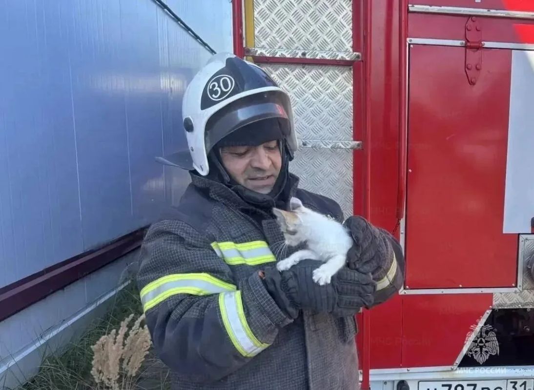 Мяу из дымохода: белгородские спасатели разобрали трубу ради испуганного котёнка
