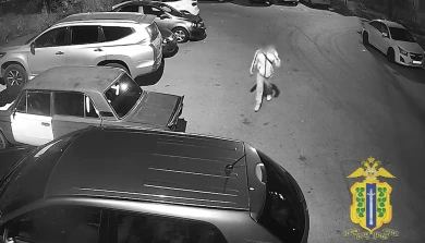 Музыка длилась недолго: меломан из Липецка оказался в полицейском участке