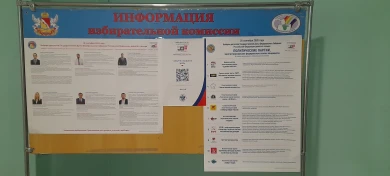 Первые итоги выборов в Воронежской области: «Единая Россия» пока получила 79,86%