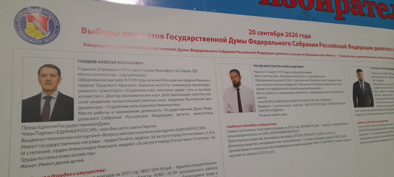 Стали известны вероятные победители выборов в Госдуму в одномандатных округах Воронежской области