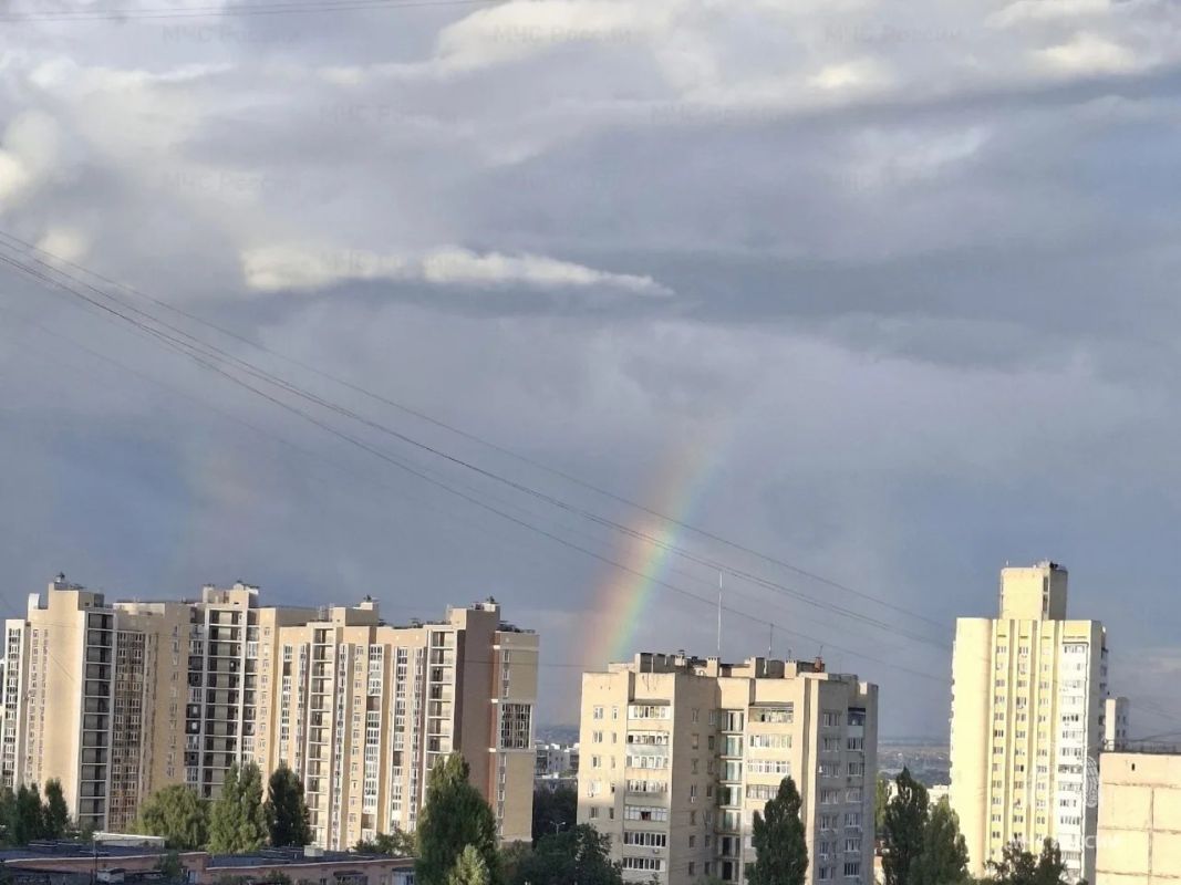 Дожди и грозы обрушатся на Белгород