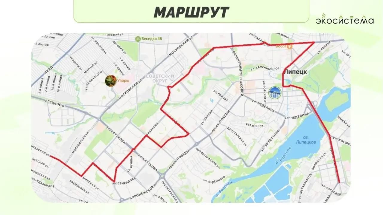 Липчане смогут сдать вторсырьё и технику в «Зелёный автобус»