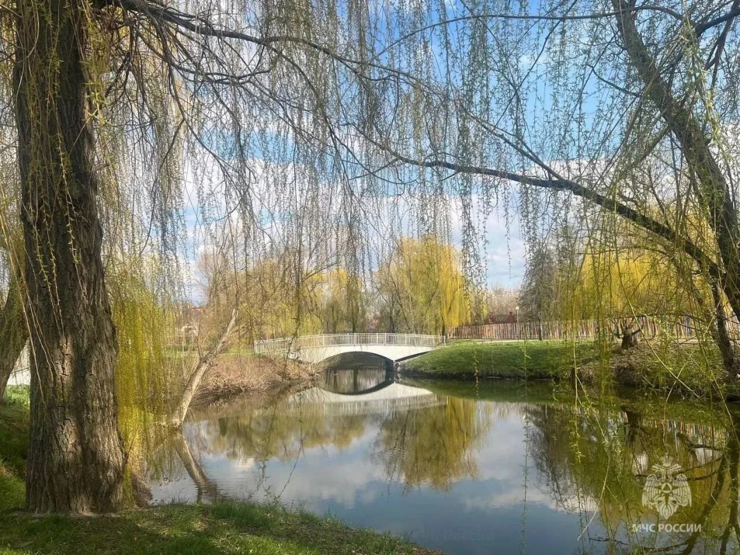 Ждать ли белгородцам ливней и гроз