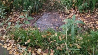 Младшеклассница упала в яму с кипятком на прогулке 