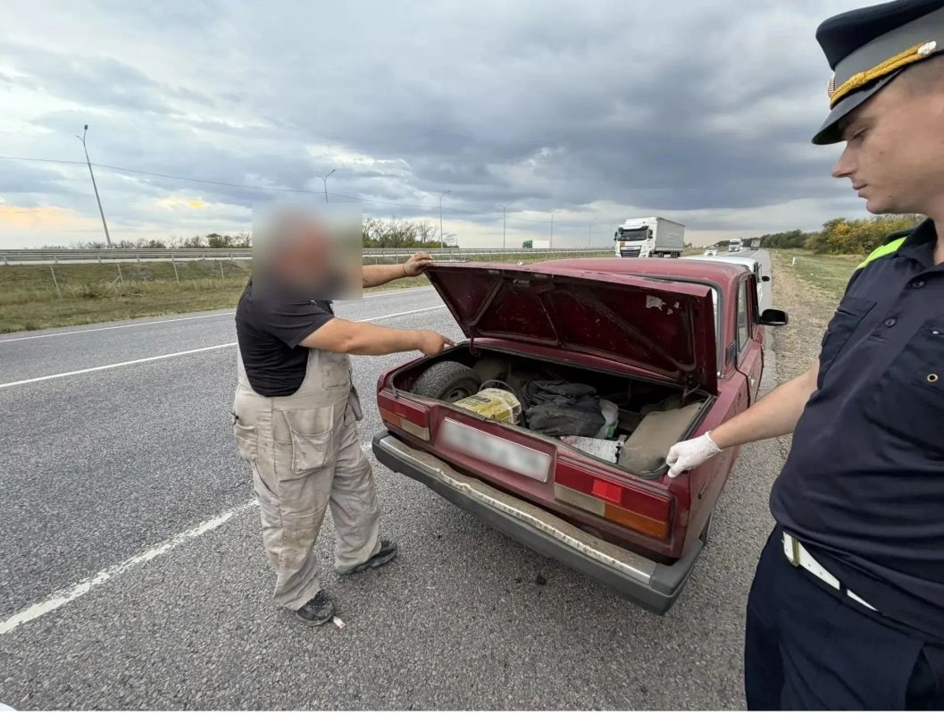 Неожиданный груз нашли полицейские в багажнике авто в Воронежской области