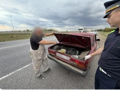 Неожиданный груз нашли полицейские в багажнике авто в Воронежской области