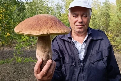 Гриб весом почти 1,4 килограмма нашли в Старом Осколе