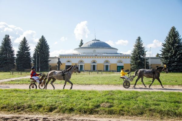 Конный завод в Воронежской области отметил 250‑летие