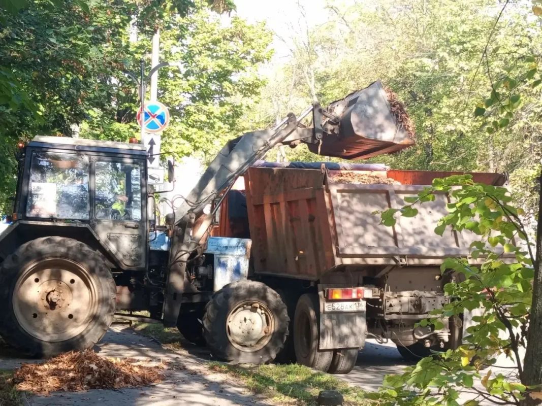 Коммунальщики в&nbsp;Воронеже трудятся на&nbsp;благо чистоты улиц и&nbsp;днём, и&nbsp;ночью