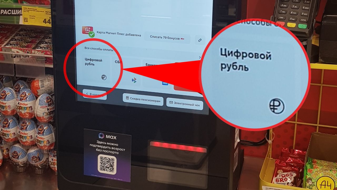 Как пользоваться цифровым рублём и&nbsp;легко ли им расплатиться за&nbsp;товары и&nbsp;услуги
