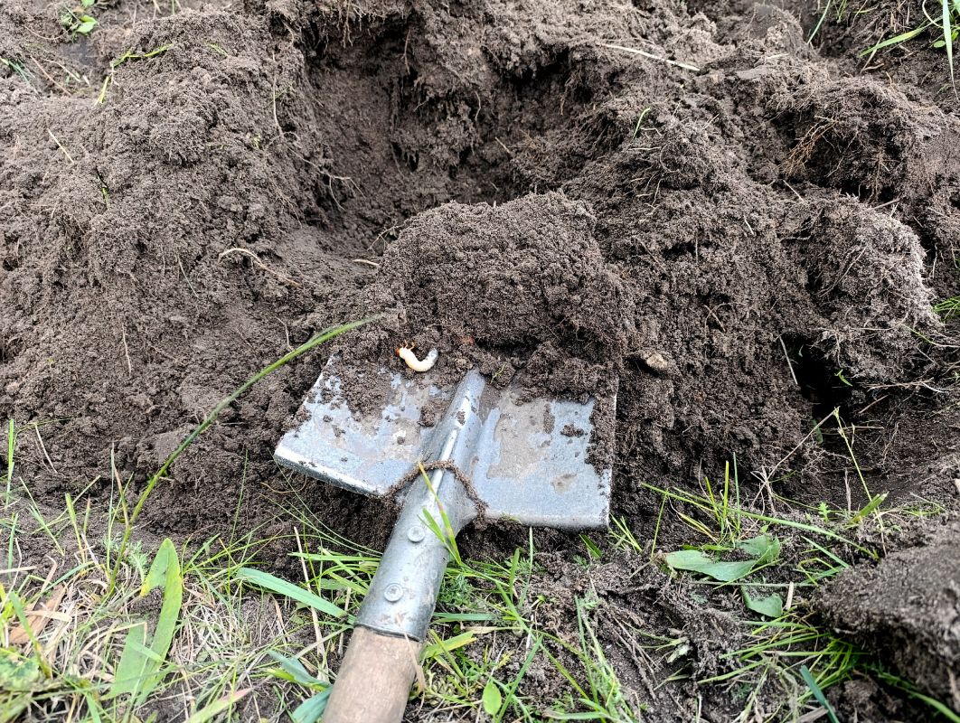 Воронежанку осудили на полгода за жестокое нападение на человека с лопатой