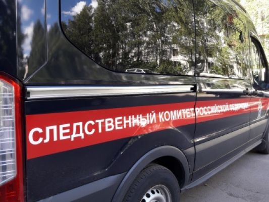 16-летняя воронежанка, едва не ставшая закладчицей, ответит за это по закону