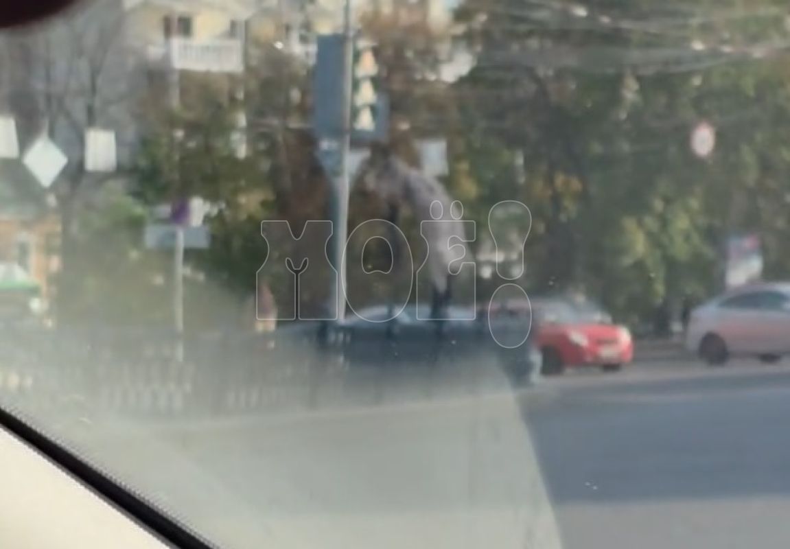 «Упала на&nbsp;проезжую часть». Девушек, рискующих жизнью ради фото, запечатлел воронежец