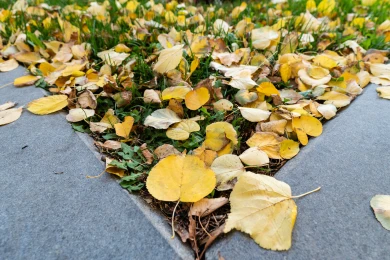Прогноз погоды в Воронеже на четверг, 15 октября