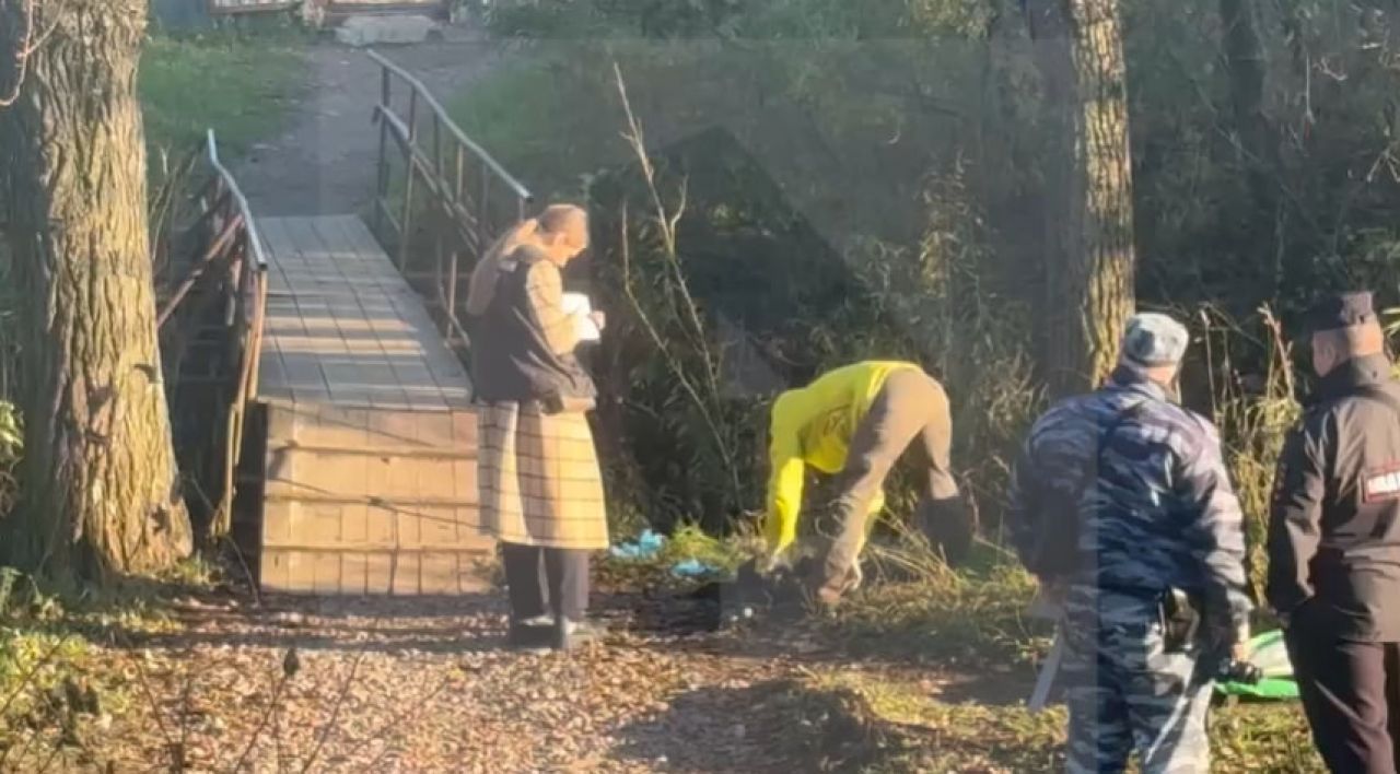 Расчленённое тело нашли в&nbsp;сумках на&nbsp;берегу (ВИДЕО)