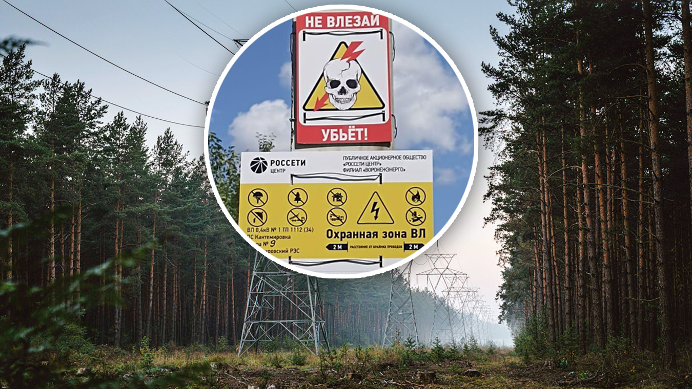Опора ЛЭП спасла жизнь жительнице Воронежской области