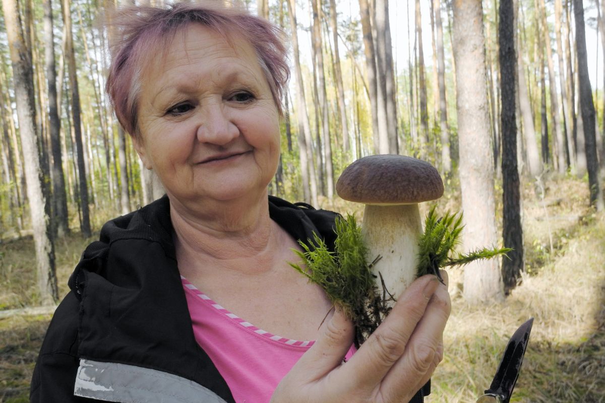 «Белых грибов было полно». Воронежские грибники рассказали об ошеломительном сезоне