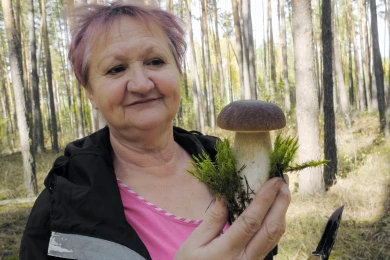 «Белых грибов было полно». Воронежские грибники рассказали об ошеломительном сезоне