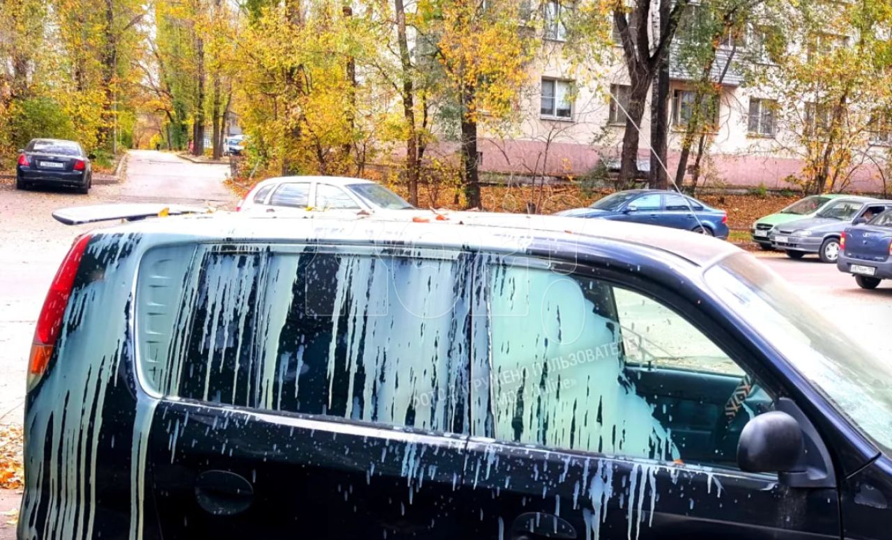 «Изощрённое зверство». Испорченный автомобиль вызвал жалость воронежца