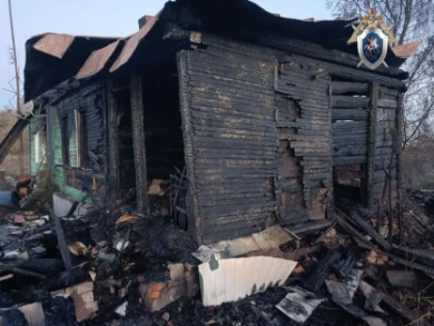 Появились фото с места смертельного пожара в Воронежской области