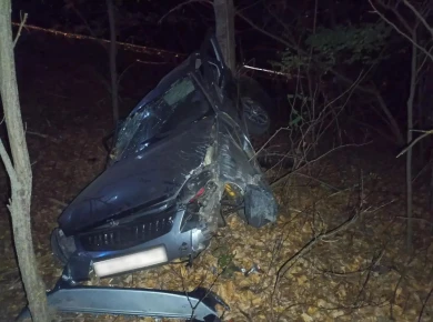 Снесло полмашины. Пьяный водитель разбился в аварии под Воронежем 