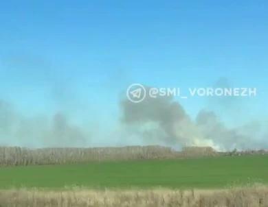 Сильный пожар вспыхнул в районе трассы М-4 «Дон» под Воронежем (ВИДЕО)