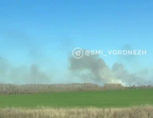 Сильный пожар вспыхнул в районе трассы М-4 «Дон» под Воронежем (ВИДЕО)