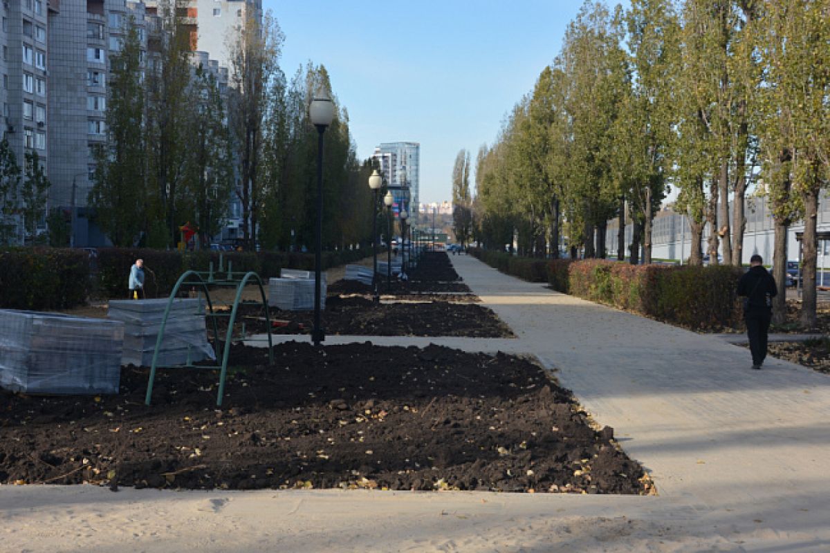 Воронежские скверы и&nbsp;дворы обретают новую жизнь&nbsp;