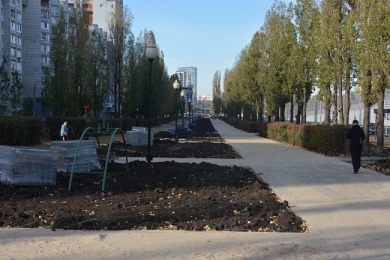Воронежские скверы и дворы обретают новую жизнь 
