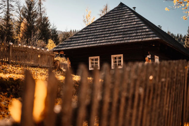 Владельцев дачных участков ждет неприятный сюрприз: с 1 июля без согласия соседа на своём участке строго запрещено 