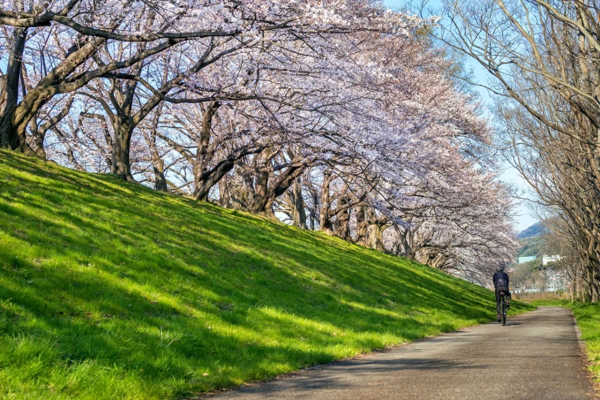 Мартябрь или декарт: ученым удалось обнаружить два новых времени года
