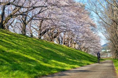 Мартябрь или декарт: ученым удалось обнаружить два новых времени года