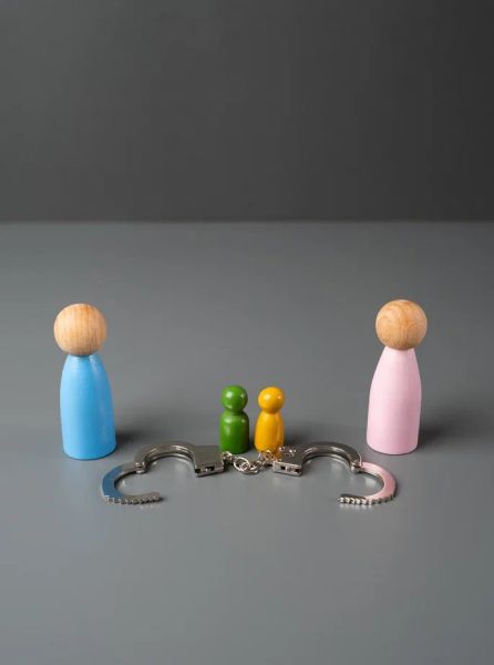 Как увеличить сумму алиментов на ребёнка - курянам назвали законные способы