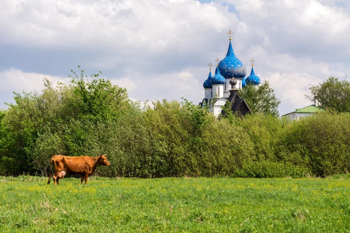 Уходящее лето готовит россиянам финальный сюрприз: в конце августа столбики термометров взлетят до 30 градусов 