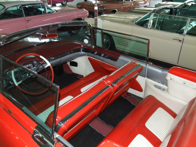 Какой чудесный пень